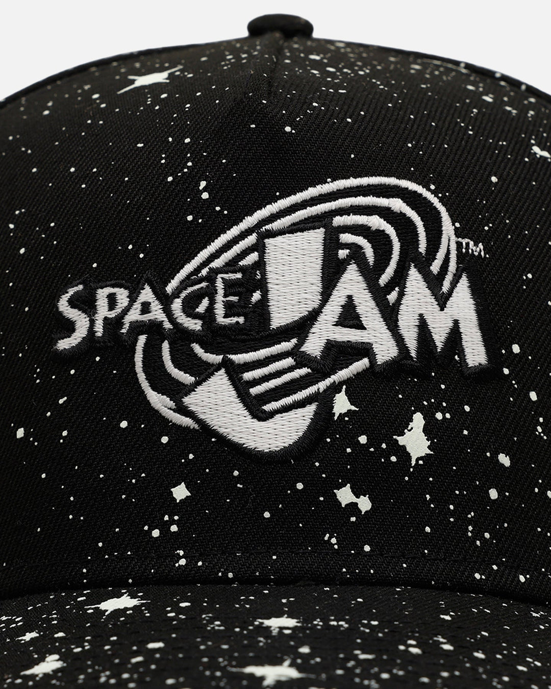 New Era X Space Jam 30th Anniversary 9FIFTY A-Frame Snapback Black/White